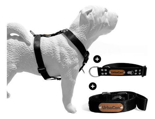 Conjunto Para Perros Escapistas. Pretal + Correa + Collar