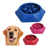 Comedouro Lento Educador Interativo Cachorro Petshop