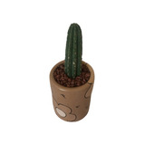Cactus Órgano En Maceta Decorada