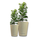 2 Vasos Plantar Plantas Polietileno Jardim Grafiato N1 + N2