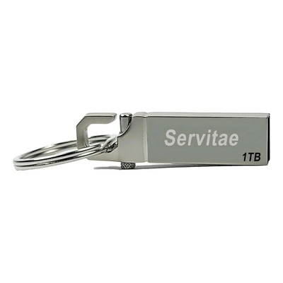Memoria Usb 1tb Servitae Disco 1 Tera Flash Drive Llavero | Meses sin interés