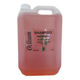 Shampoo Oclisam Con Keratina X 5 Litros Keratinico Peluqueri