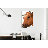 Cuadro Canvas Vaca Animales Campo Pasto Funny M5