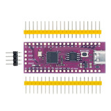 Placa Raspberry Pi Pico Rp2040