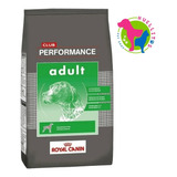 Royal Club Performance Perro Adulto X20kg