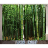Cortinas De Bambú De Ambesonne, Imagen De Un Bosque De Bambú
