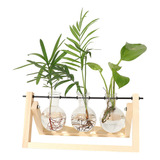 Terrario R Plant Con Soporte De Madera, Bulbo De Vidrio 8283