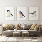 Tríptico Pájaros Acuarela Lienzo Canvas Cuadro Decorativo