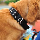 Collar Fibra Perro 4,0 X 60 Cm Pethome