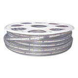 Tira Led Rollo De 10m Luz Blanca O Luz Calida 127v Exterior