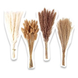 Pampas Secas 100pcs Plantas Decorativas Flores Artificiales