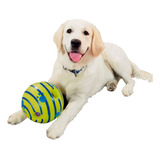 Brinquedo Bola Interativa Para Cães Divertido Com Som 14cm