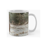 Taza Caballo - Invierno # 8 Calidad Premium