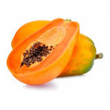 Semillas Frutales De Papaya Fercon