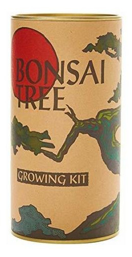 Árbol De Los Bonsais | Enebro Chino | Kit De Cultivo De Semi