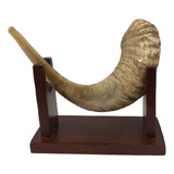 Shofar Ceremonial De-carnero-  40cm- Kosher (#404)