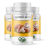 Cogumelo Do Sol 180 Cápsulas Propriedades Medicinais Puro