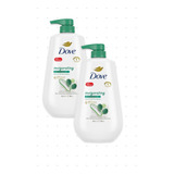 Dove Body Wash Aloe & Eucalyptus, 30.6 Oz 2packs