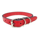 Collar P/ Perro Cuero Natural Ancho 16 Mm, Largo 36 Cm Rojo