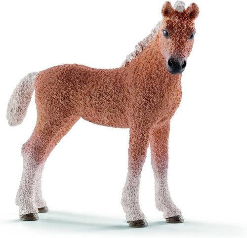 Schleich  Figuras Caballos 13781 Potro Bashkir Curly