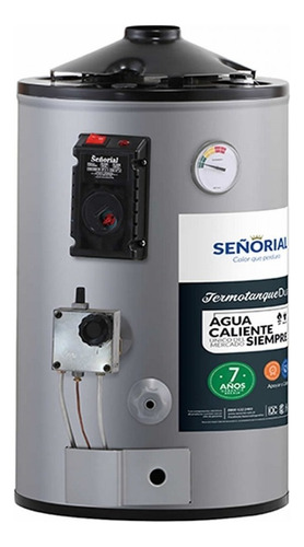 Termotanque Dual Electrico / Gas Señorial 30lts Tio Musa Color Gris