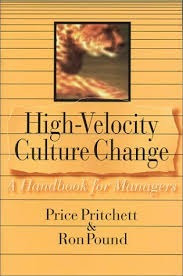 Livro High-velocity Culture Change