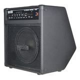 Amplificador Brixton Classic Bass 120,  100w Rms, Leacs