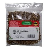 Infusion De Cardo Mariano Guiral X 50 G