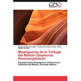 Madrigueras De La Tortuga Del Bolson (gopherus Flavomarginat
