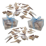 Caracoles Exoticos Pack 2u Caja Transp. C/moño 9 X 9 X 4 Cm 