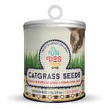 Semilla De Pasto De Avena Y Cebada Para Gato Cat Grass Seeds