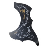 Pickguard Alice A025m Guitarra Criolla A025m Musicapilar