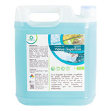 Limpiador De Vidrio Para Robots Gorganics 5 Lt