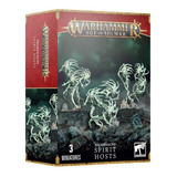 Games Workshop Warhammer Aos Nighthaunt Spirit Hosts