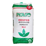 Rye Grass Perenne Nui Picasso Cesped X 5 Kg Semilla 