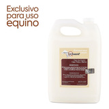 Shampoo De Caballo Uso Equino Capa Negra Yeguada La Reserva