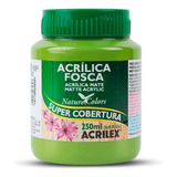 Tinta Acrílica Fosca Artesanato Acrilex 250ml Ótima Cobertur Cor Verde Pistache