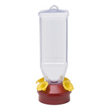 Bebedero Comedero De Colibri Plastico Alta Calidad - 530 Ml 