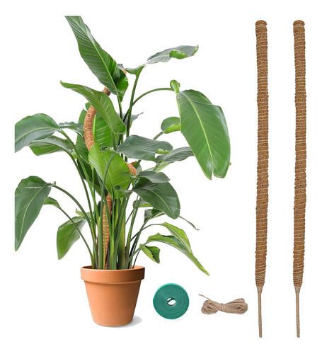 Juego De 4 Tutor De Musgo Para Plantas 100 Cm / Fibra Coco