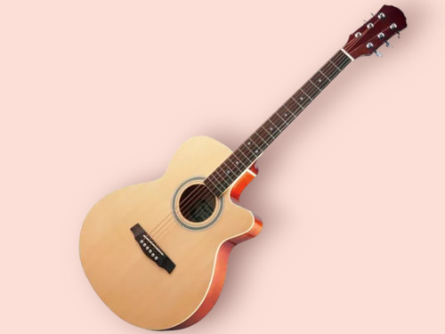 Guitarra Folk Chateau (usada)