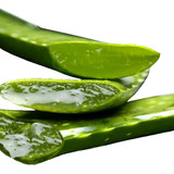 Extracto De Aloe Vera Aplicacion Directa 1 Kilo