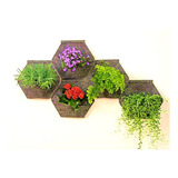 Muros Verdes Geotextil Jardin Vertical Natural 5 Pack