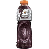 Isotônico Sabor Uva Gatorade 500ml Kit C/12