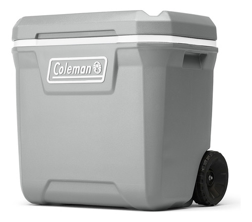 Conservadora Coleman 316 Series 65qt C/r Rock Gray