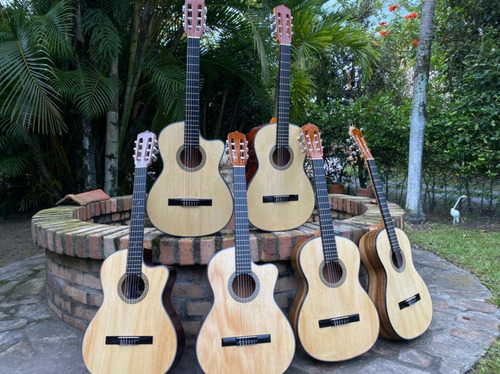 Guitarras Acusticas Clasicas Incluye Forro+envio Gratis