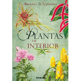 Plantas De Interior - Tikal