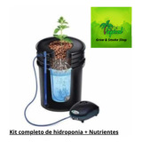 Sistema De Hidroponia Completo Dwc + Nutrientes K-nabis.