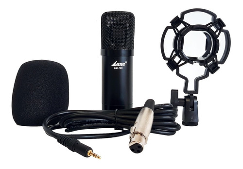 Microfono Condenser Lane Bm-700 Para Placa De Sonido Premium