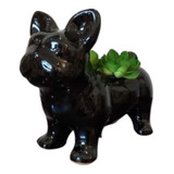 Maceta Perro Bulldog Negro Minimalista Mascota Decoración