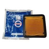 Filtro Aire Tvs Apache 200 4v 160 4v Original N9041910